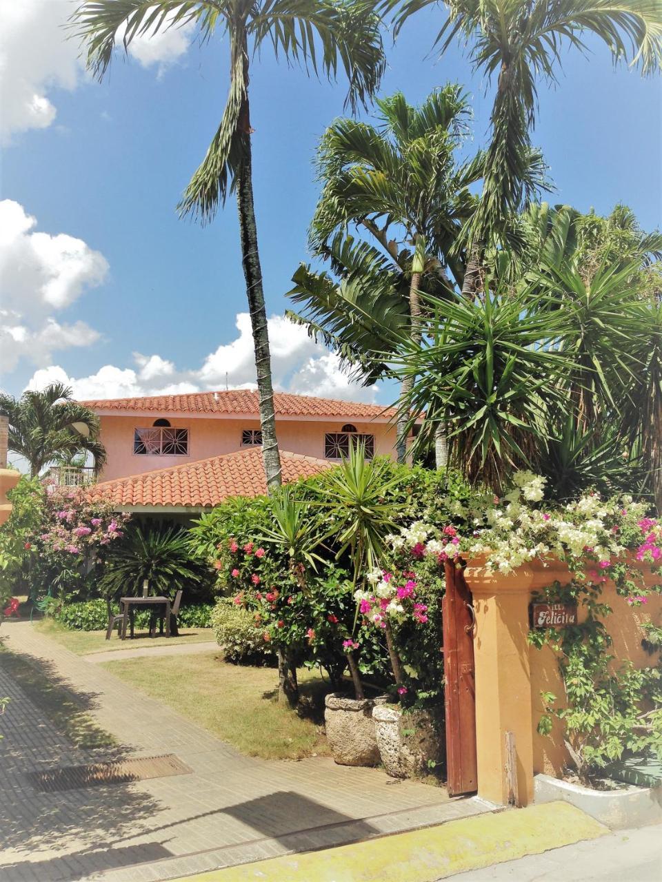 Casa Felicita B&B Y Apartamentos Bayahibe Exteriör bild